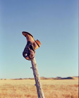 Doug Hancock: Riders of the Buffalo Nations