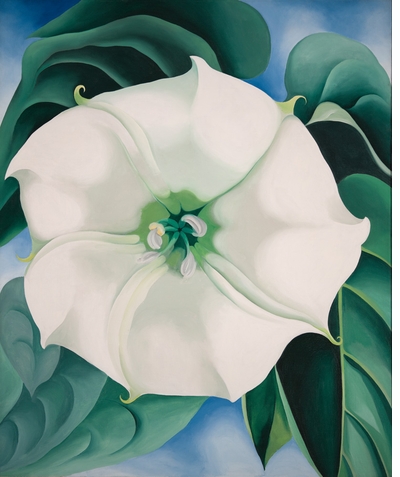 Dual nature, harmonized shape and color in superb new book on 'Georgia OKeeffe'
