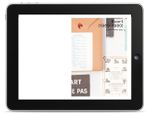 Ecart 1969-1980 eBook