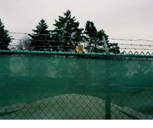 Ed Panar: Animals That Saw Me