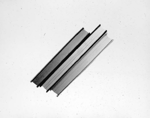 Ed Ruscha: Books and Paintings