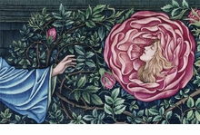 Edward Burne-Jones: The Earthly Paradise