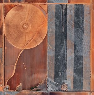 Edward Burtynsky: The Great Acceleration