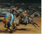 Eight Seconds: Black Rodeo Culture