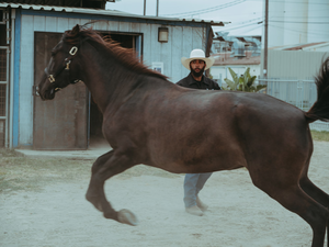 Eight Seconds: Legacy in Motion