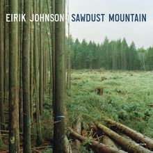 Eirik Johnson: Sawdust Mountain