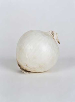 Elad Lassry: On Onions