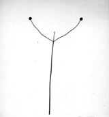 Elemental Landscapes: Photographs By Harry Callahan