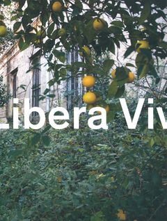 Elisabeth Hlzl: Libera Viva