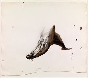 Ellen Gallagher: Accidental Records