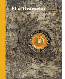 Elsa Gramcko: The Invisible Plot of Things