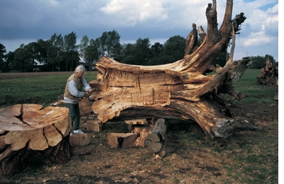 Emilie Brzezinski: The Lure of the Forest