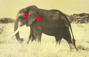 Erik Kessels: Image Tsunami