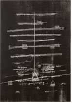 Ester Fleckner: I Navigate in Collisions