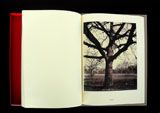 Eugne Atget's Trees