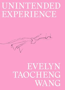 Evelyn Taocheng Wang: Unintended Experience
