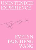 Evelyn Taocheng Wang: Unintended Experience