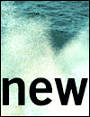 Everything That's Interesting Is New