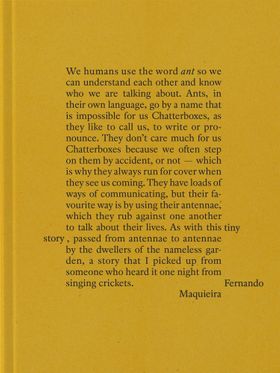 Fernando Maquieira: A Tiny Story