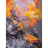 Firelei Baez Exhibition Catalogs, Books, Bibliography, Biography