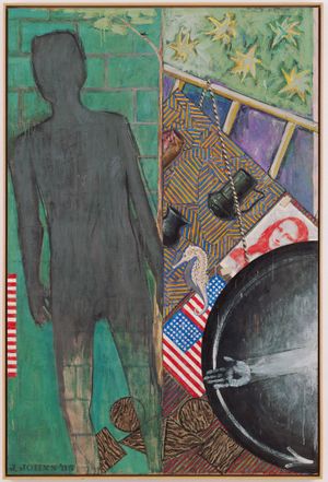 Focal Points: Jasper Johns