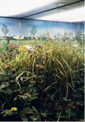 Formafantasma: Oltre Terra