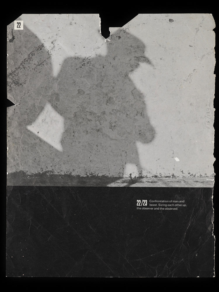 Francis Bacon's Library ARTBOOK | D.A.P. 2026 Catalog Books