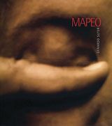 Gerardo Suter: Mapeo
