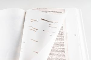 Gerco de Ruijter: Grid Corrections