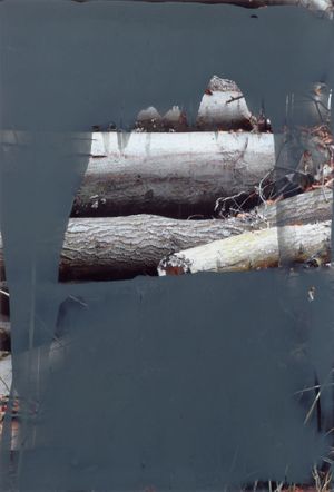 Gerhard Richter: Drawings 19992021