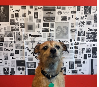Get your free 'A *New* Program for Graphic Design' poster at the NYABF!