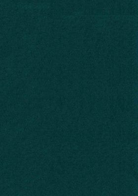 Giovanna Silva: Tehran