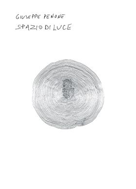 Giuseppe Penone: Spazio di Luce