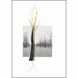 Giuseppe Penone Exhibition Catalogs, Books, Bibliography, Biography
