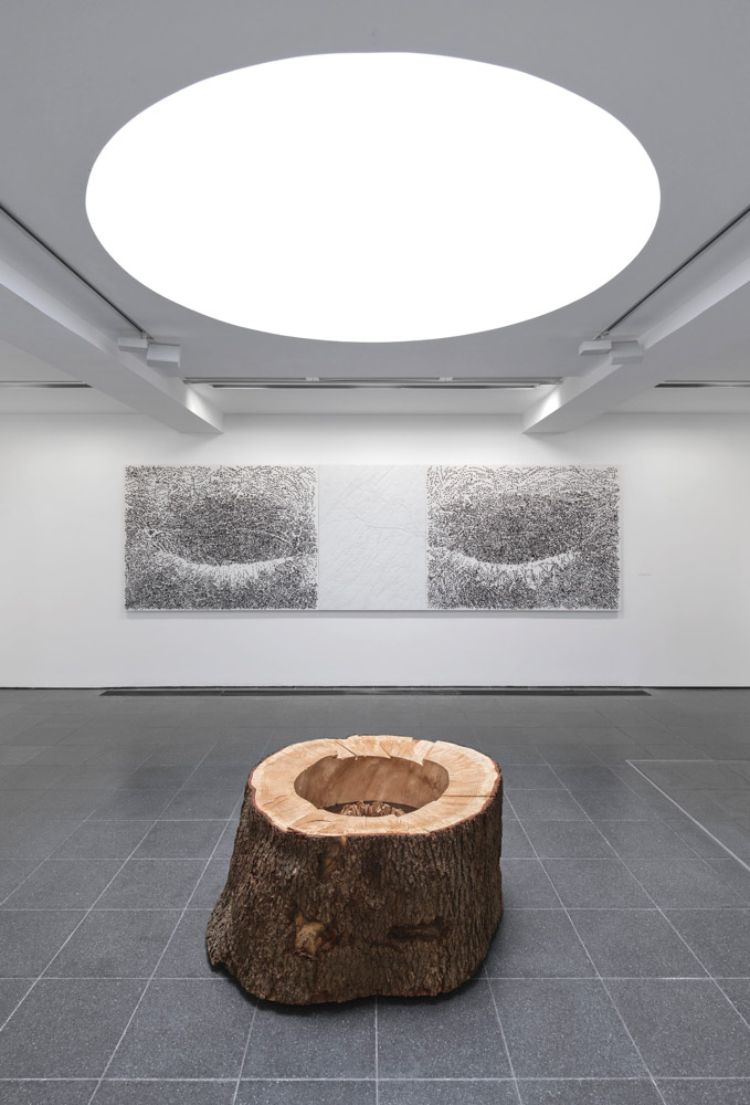 Giuseppe Penone Thoughts in the Roots ARTBOOK | D.A.P. 2026