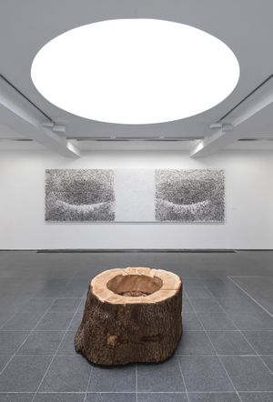 Giuseppe Penone: Thoughts in the Roots