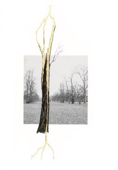 Giuseppe Penone: Thoughts in the Roots