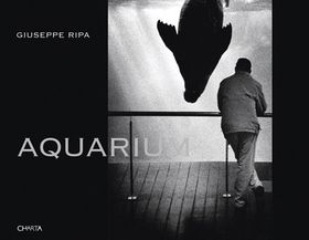 Giuseppe Ripa: Aquarium