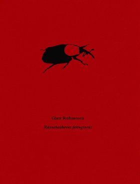 Glen Rubsamen: Rhynchophorus ferrugineus