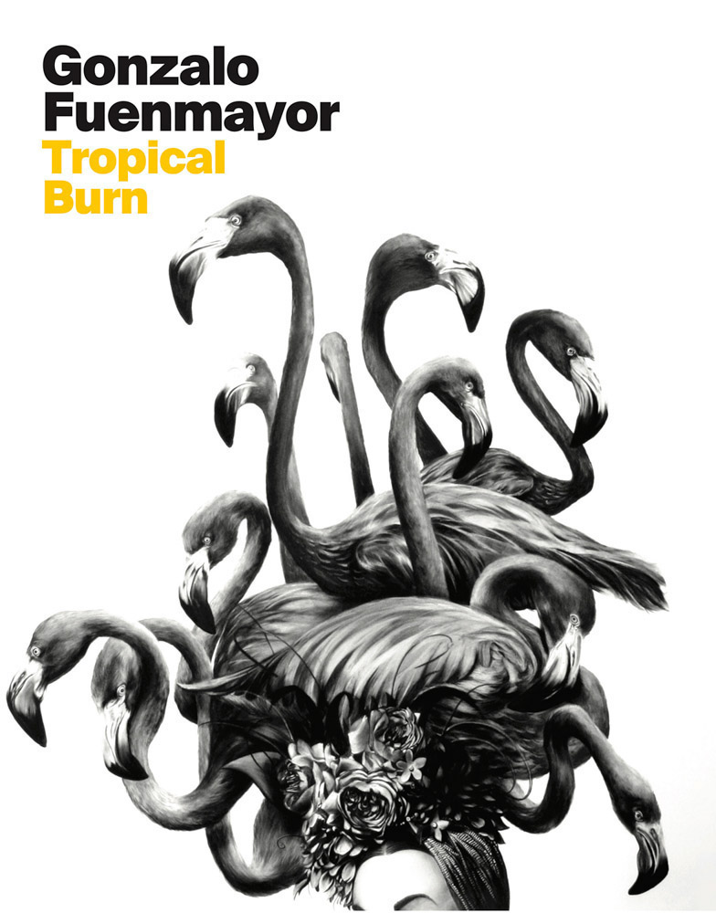 Gonzalo Fuenmayor: Tropical Burn - ARTBOOK|D.A.P.