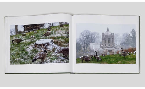 Green-Wood Cemetery presents Eugene Richards launching 'Remembrance Garden: A Portrait of Green-Wood Cemetery'