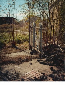 Gregory Halpern: A