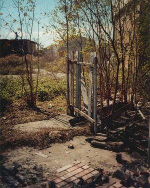 Gregory Halpern: A