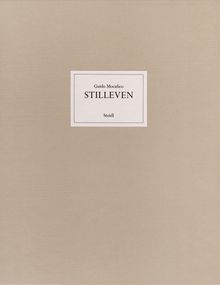 Guido Mocafico: Stilleven