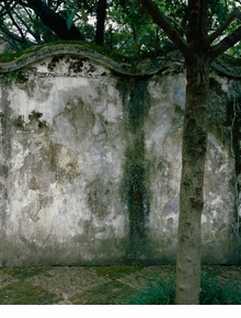 Hlne Binet: The Walls of Suzhou Gardens