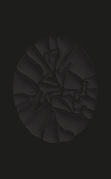 Haegue Yang: The Great Forgetfulness