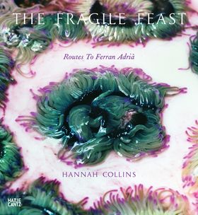 Hannah Collins: The Fragile Feast, Routes to Ferran Adri