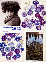 Hannah Hch: Album