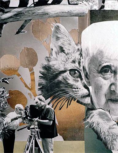 Hannah Höch Life Portrait アートブック Hannah Höch: Life Portrait
