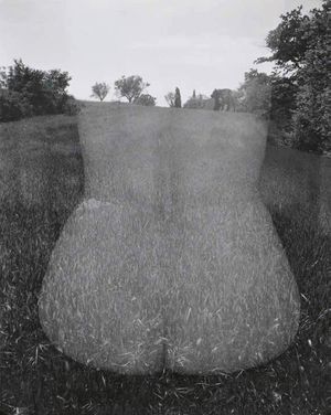 Harry Callahan: French Archives